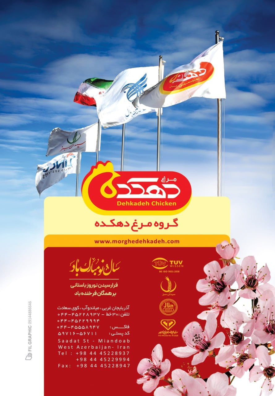 گروه مرغ دهکده