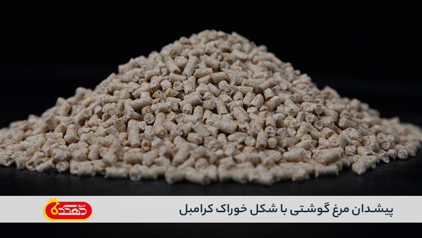 پیشدان مرغ گوشتی با شکل خوراک کرامبل